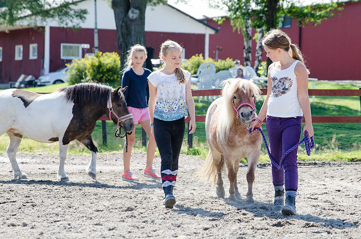 _DSC1285-Redigera