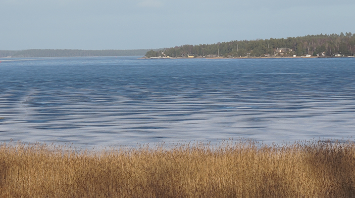 Bild över Vänern och Östra Tyehalvön.