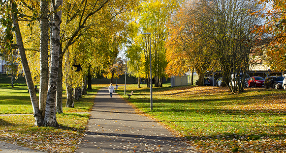 Gångväg på Skoghall i vackra höstfärger. En person går på vägen långt bort.