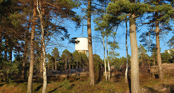 Vattentornet i Skoghall. I förgrunden stora, höga tallar.