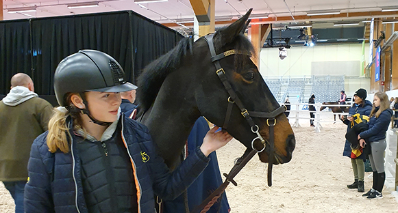 Hannah Stenwreth, ung tjej, klädd. blått och med ridhjälm tillsammans med sin ponny Atlas. Profil på båda. Ser bara deras huvuden. Platsen är Elmia i Jönköping.