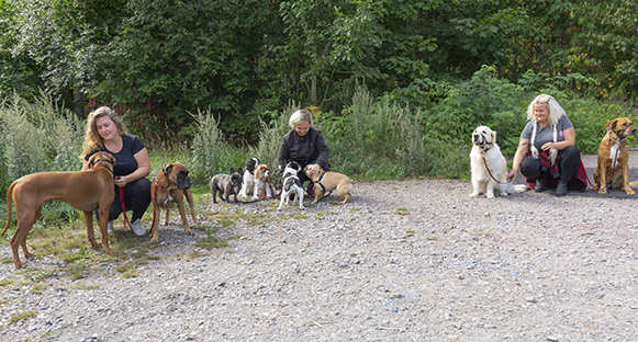 Personal och en del av hundarna vid Tassarnas hunddagis.
