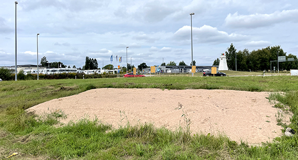 Sandblottan som kommunens parkenhet har anordnat vid Nolgård för att locka till sig vilda bin.