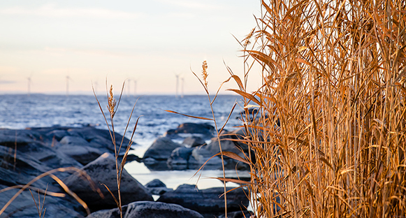 Vänern, Skoghall